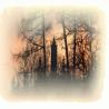 images/slide/Markwerben-001.jpg